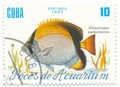 43001 Куба. 1985г. Аквариумные рыбки. Гаш. (Набор 5 шт.)