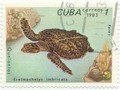 43002 Куба. 1983 г. Морские черепахи. Гаш. (Набор 5 шт.)